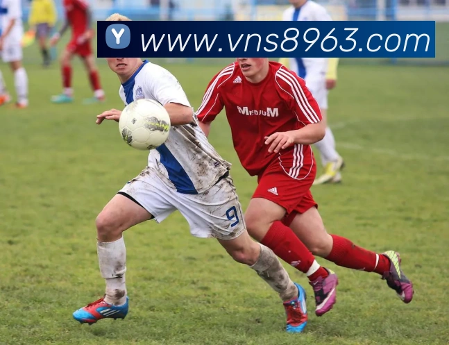 多媒体互动体验