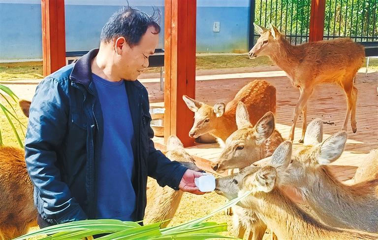 质量发展产业调研】林下生金冰球突破豪华版手机版【高(图2)