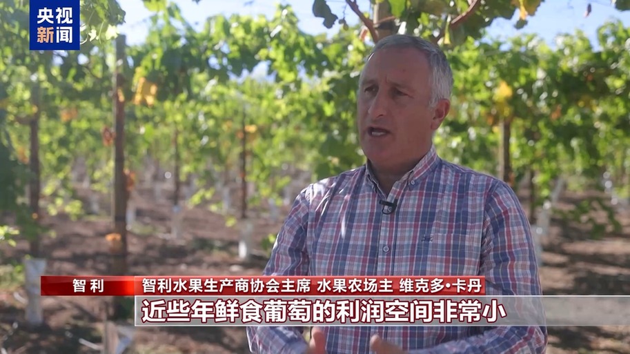 水果棘手的关税 智利水果产业“愁”冰球突破豪华版总台记者探访丨应季的(图3)