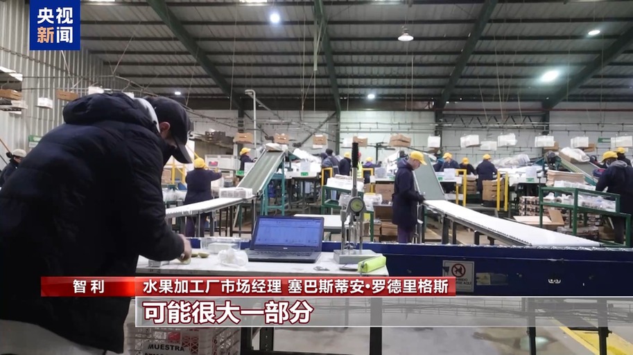 水果棘手的关税 智利水果产业“愁”冰球突破豪华版总台记者探访丨应季的(图4)