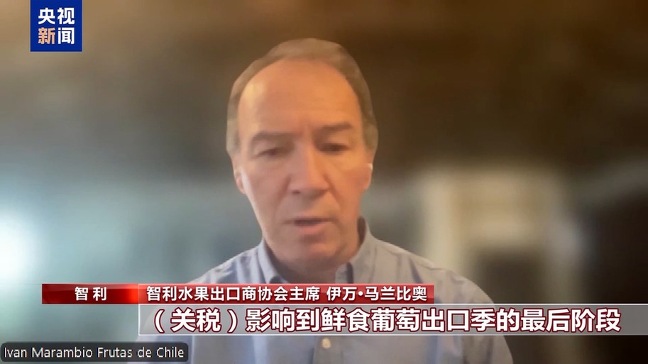 水果棘手的关税 智利水果产业“愁”冰球突破豪华版总台记者探访丨应季的(图5)
